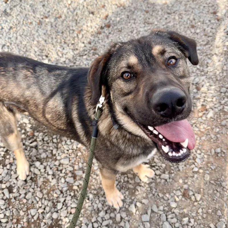 Logan Lucky thumbnail 5