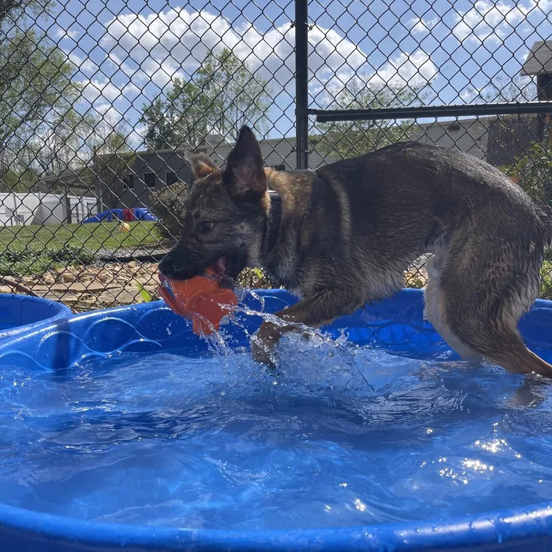 Logan Lucky thumbnail 6