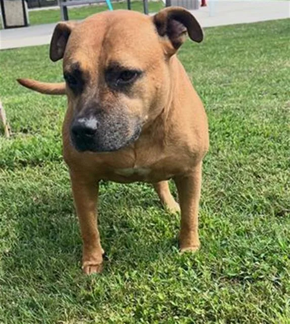 Roscoe
