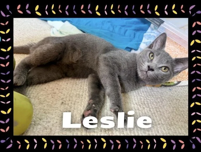 Leslie