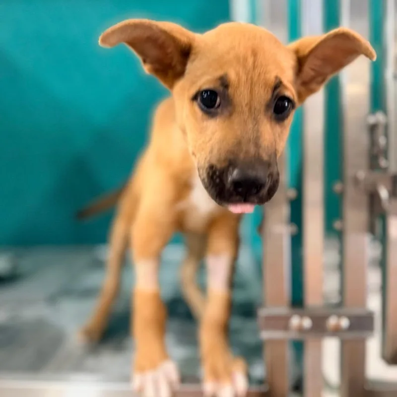 Coolatta thumbnail 2