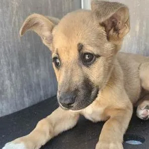 Coolatta thumbnail 3