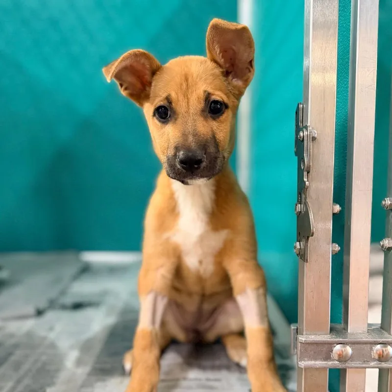 Coolatta thumbnail 4