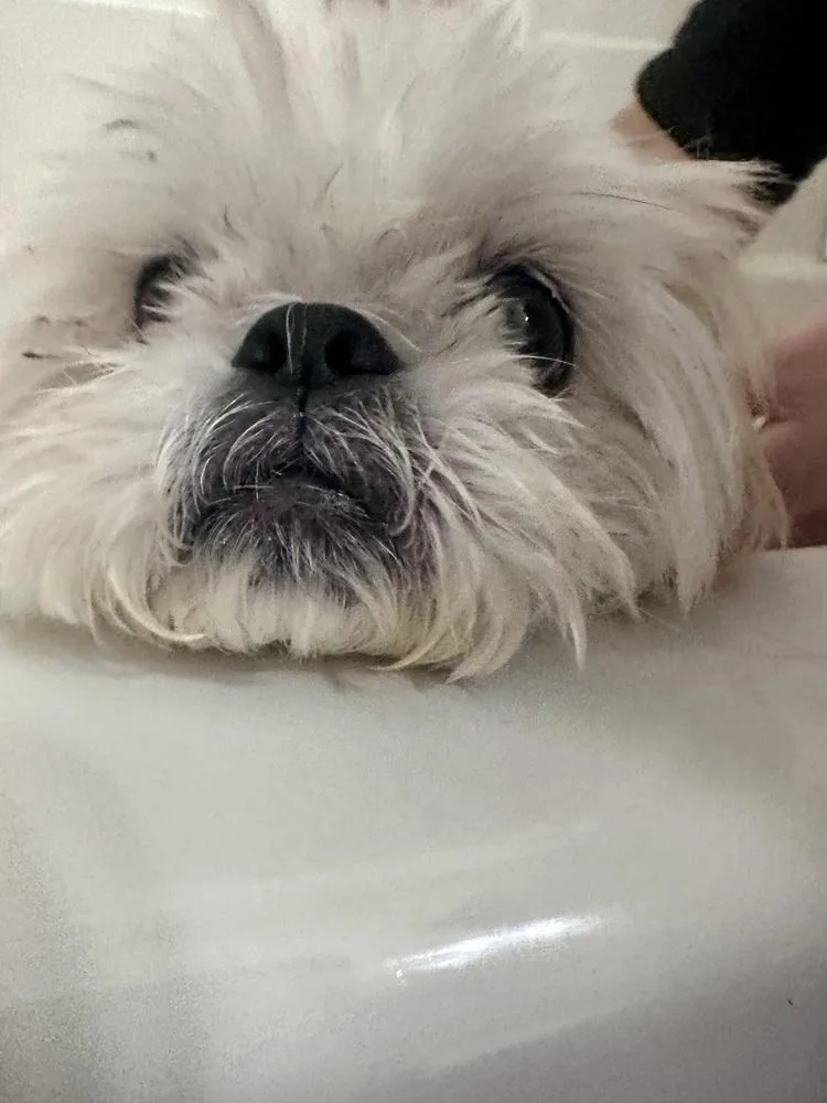 Winnie