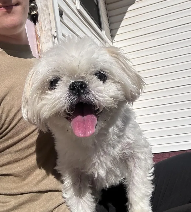 Winnie thumbnail 3