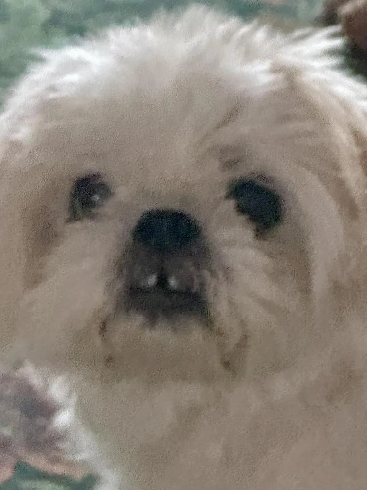 Winnie thumbnail 4