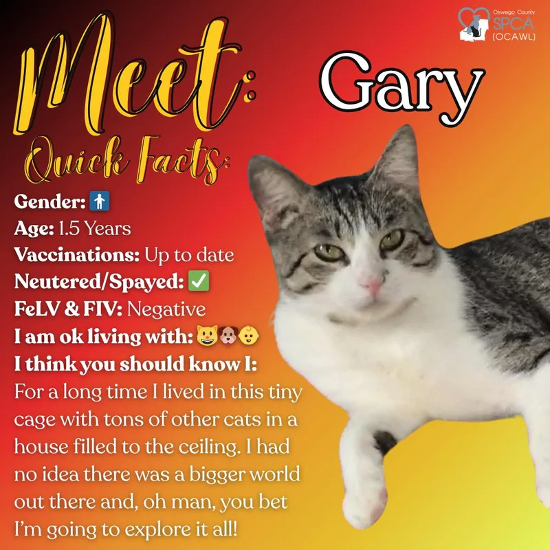 Gary