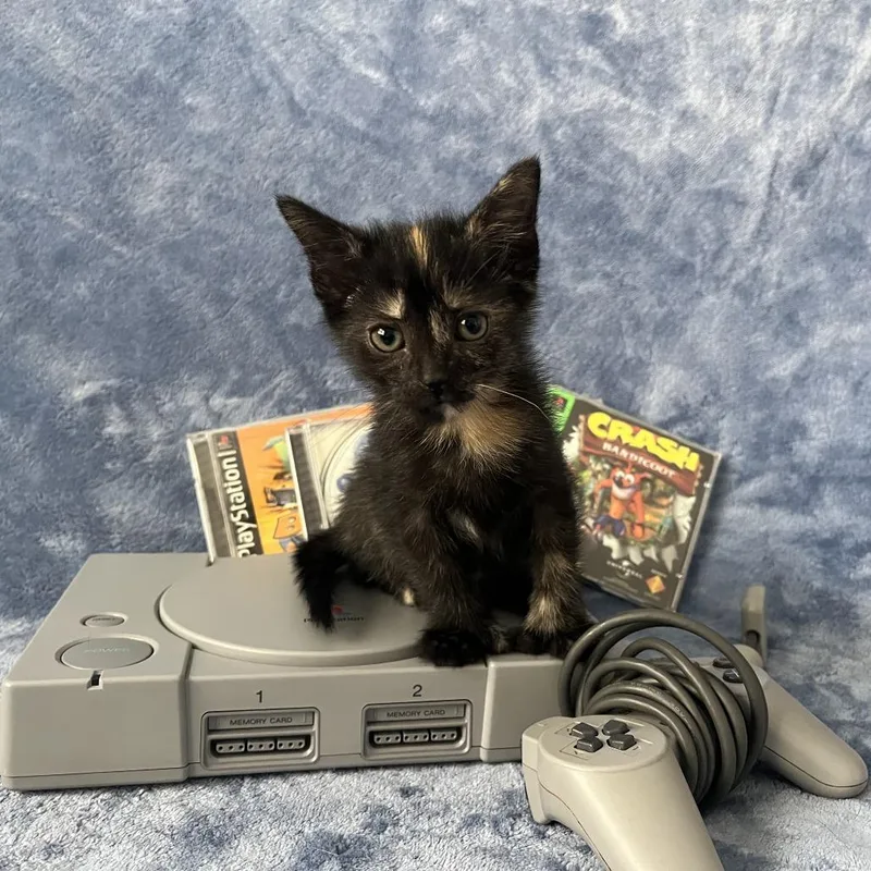 Atari thumbnail 2