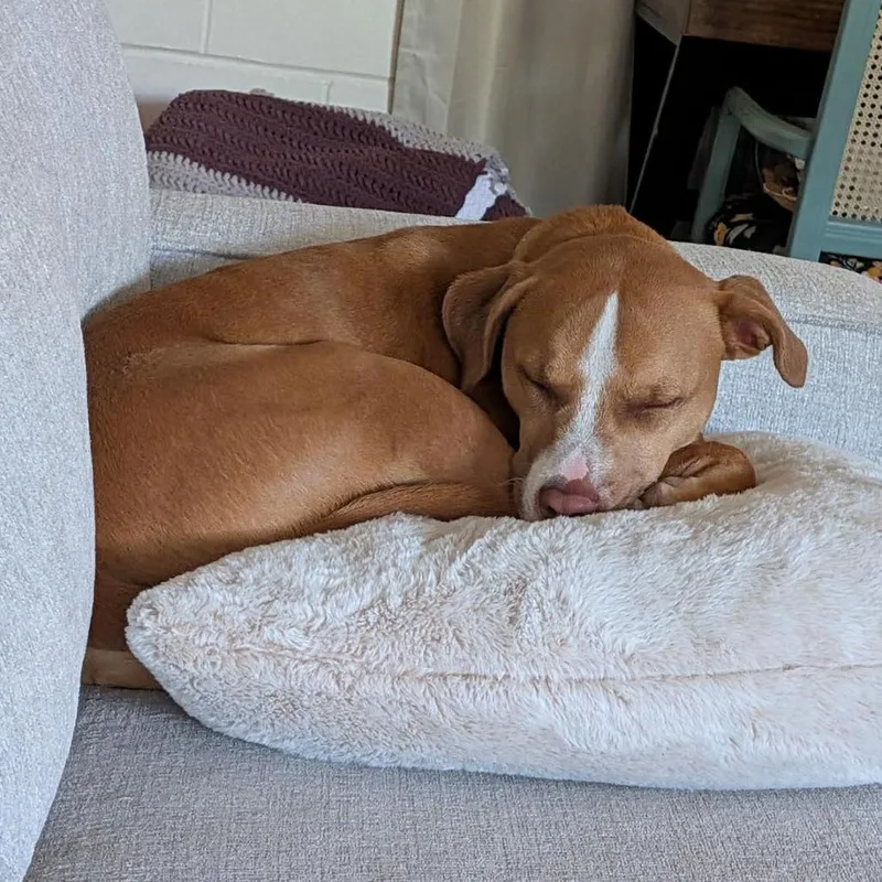 Nicks Ds thumbnail 2