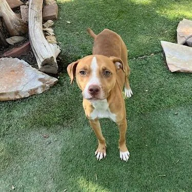 Nicks Ds thumbnail 3