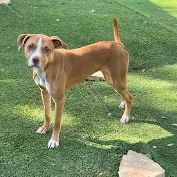 Nicks Ds thumbnail 4