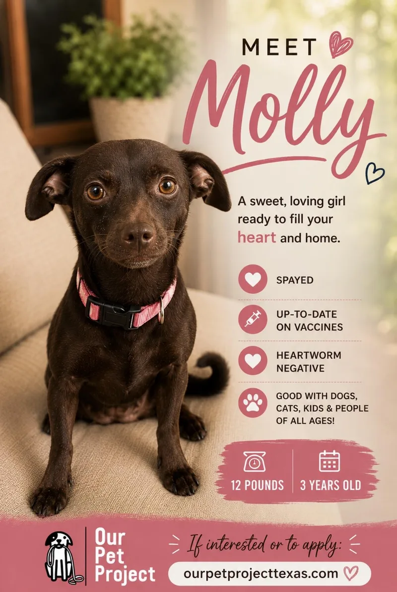 Molly thumbnail 5