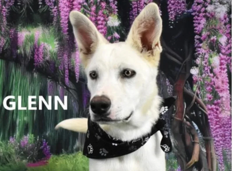 Glenn thumbnail 2