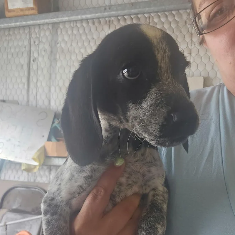 Dottie D Arriving thumbnail 2