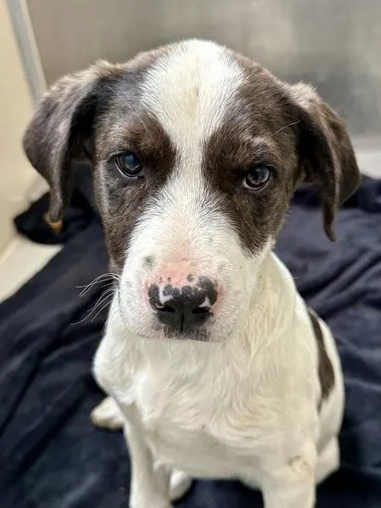 Kendrick thumbnail 2