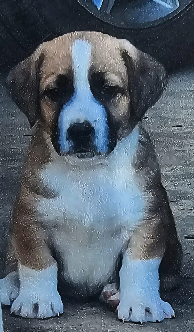 Carl Stardust thumbnail 2