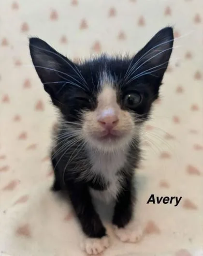 Avery