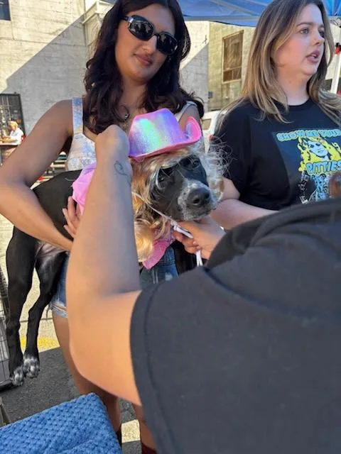 Chocolate thumbnail 3