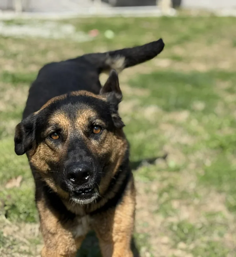 Lightning thumbnail 4