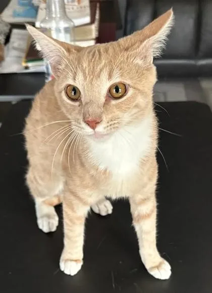 Dr. Grant thumbnail 2