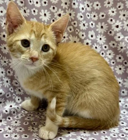 Dr. Grant thumbnail 3