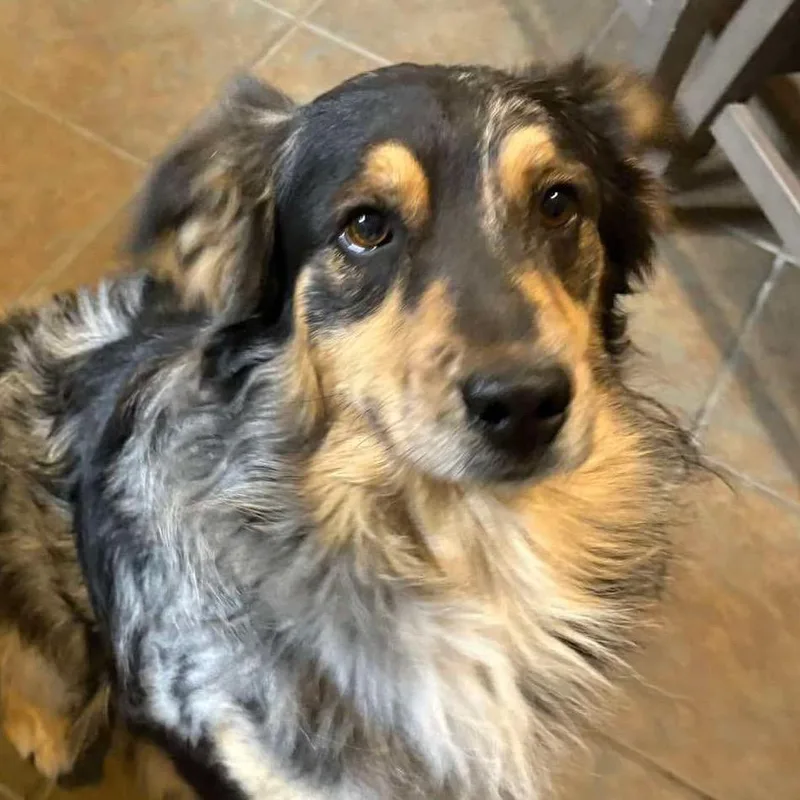 Nash