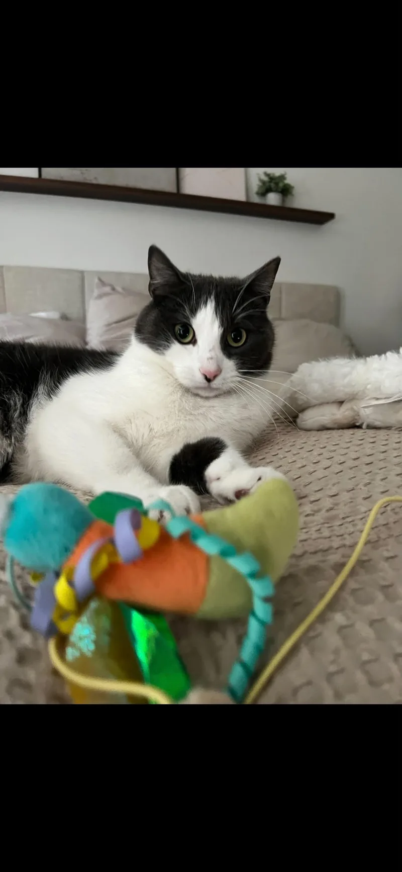 Edmund thumbnail 3
