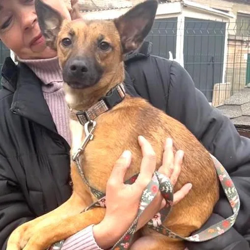 Roxy thumbnail 2