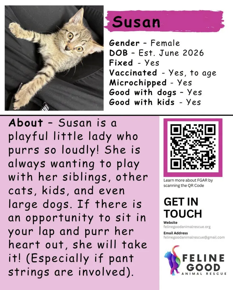 Susan thumbnail 2