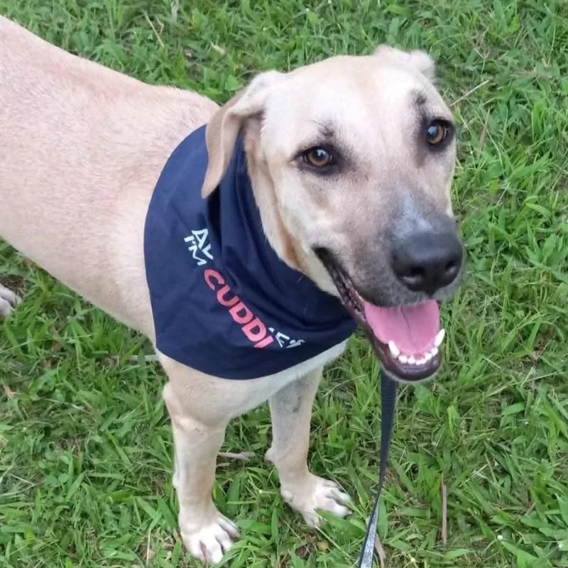 Sandy "elegant & Loveable!" thumbnail 3