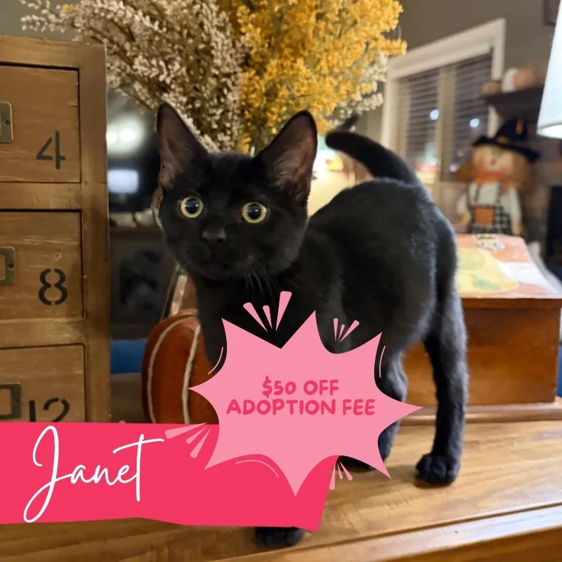 Janet thumbnail 2