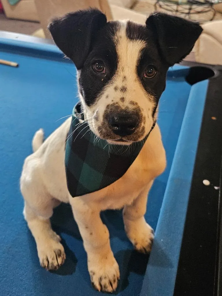 Juayúa thumbnail 2