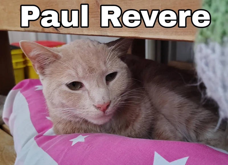Paul Revere