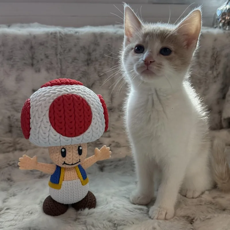 Toad thumbnail 2
