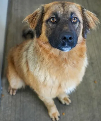 Maverick thumbnail 2