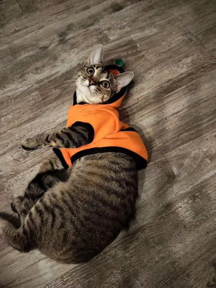 Jalapeno thumbnail 2