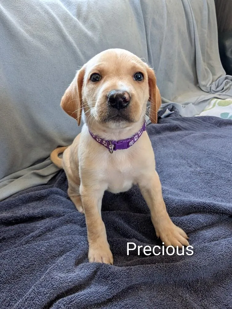 Precious Gavi thumbnail 3
