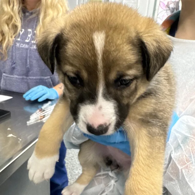 Kimi Finster thumbnail 2