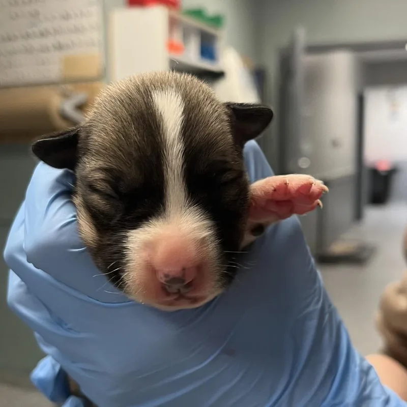 Kimi Finster thumbnail 3