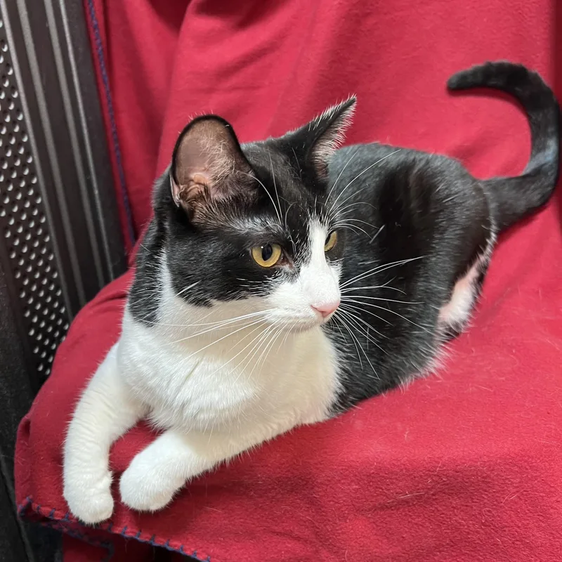 Leta  At PetSmart thumbnail 3