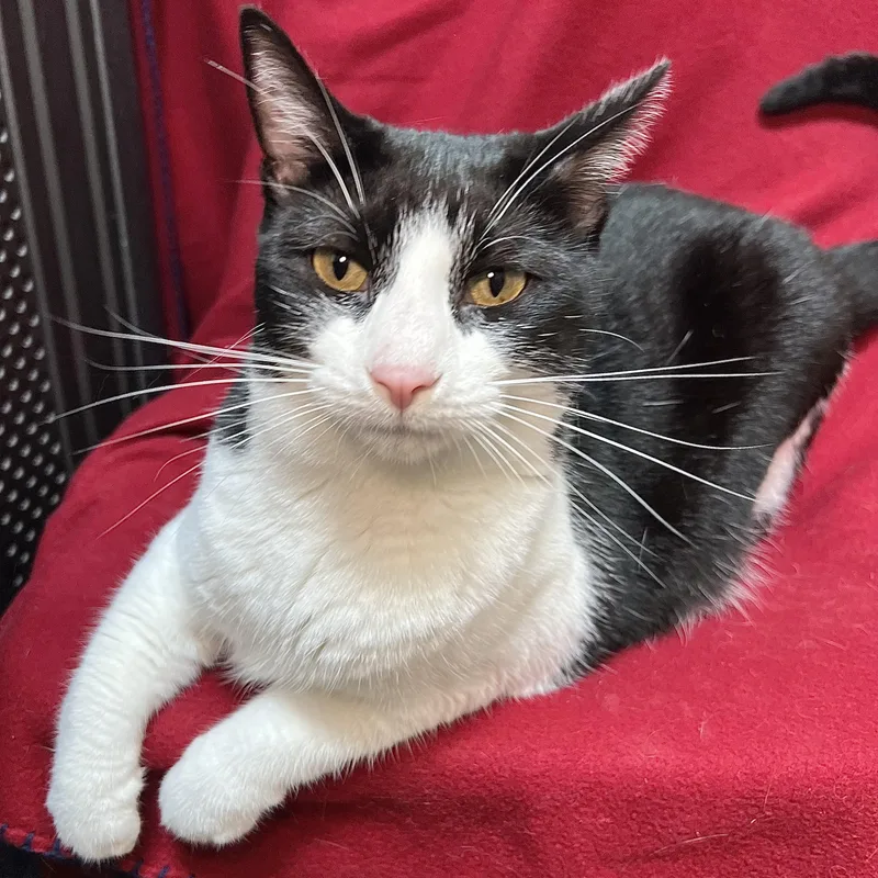 Leta  At PetSmart thumbnail 4