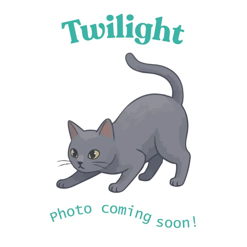 Twilight thumbnail 2