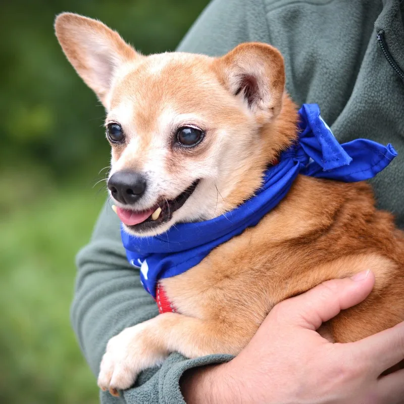 Bernie thumbnail 2