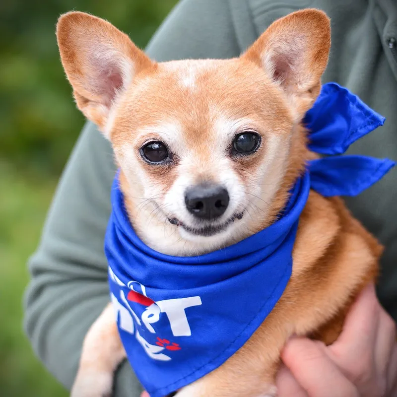 Bernie thumbnail 3