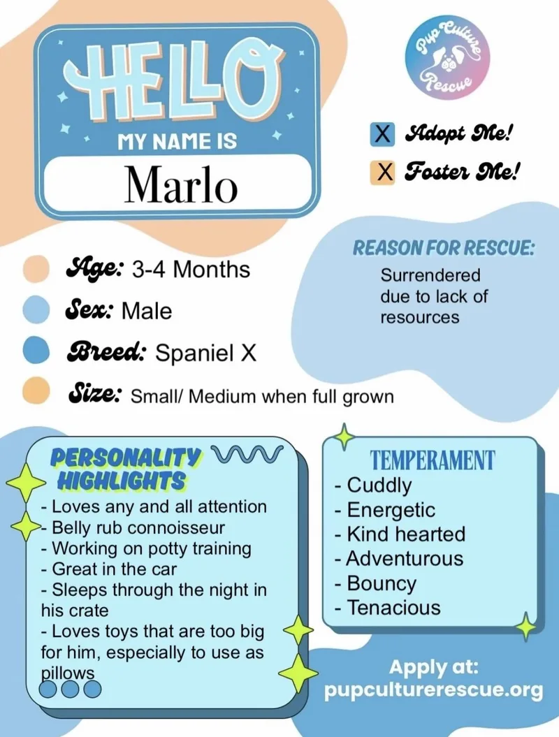 Marlo thumbnail 4