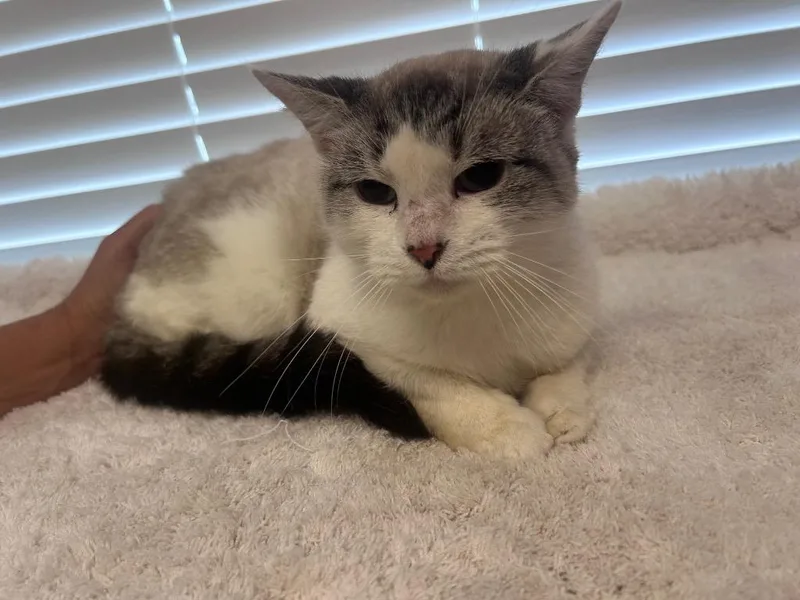 Esther