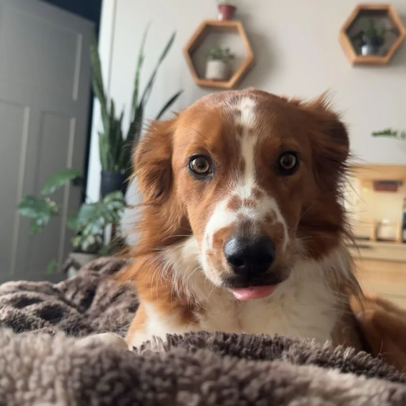 Courtesy Listing!  Remy