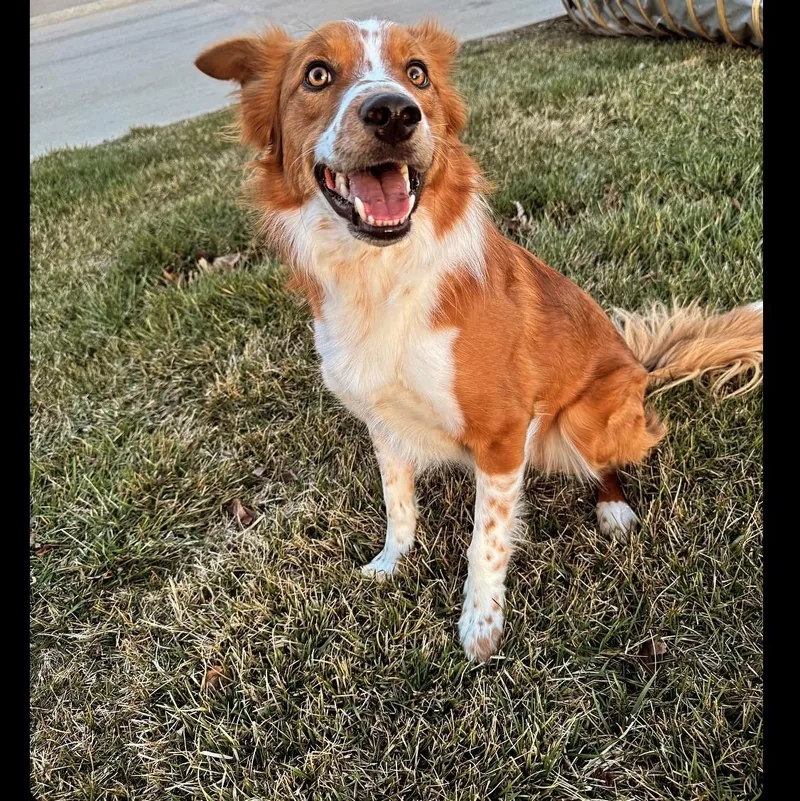 Courtesy Listing!  Remy thumbnail 2