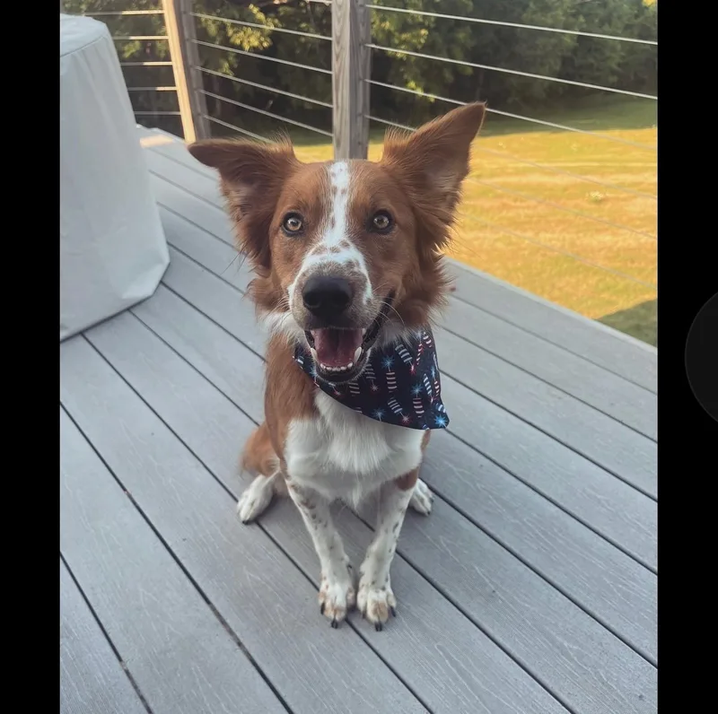 Courtesy Listing!  Remy thumbnail 5