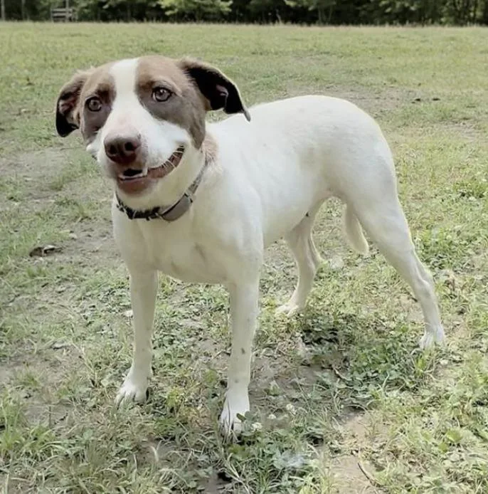 Isabella thumbnail 2